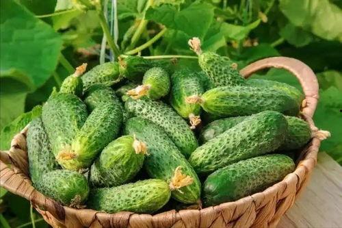 最近大瓜事件,揭秘明星隐私风波背后的真相 第2张 最近大瓜事件,揭秘明星隐私风波背后的真相 第2张